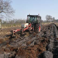 Labranza forestal